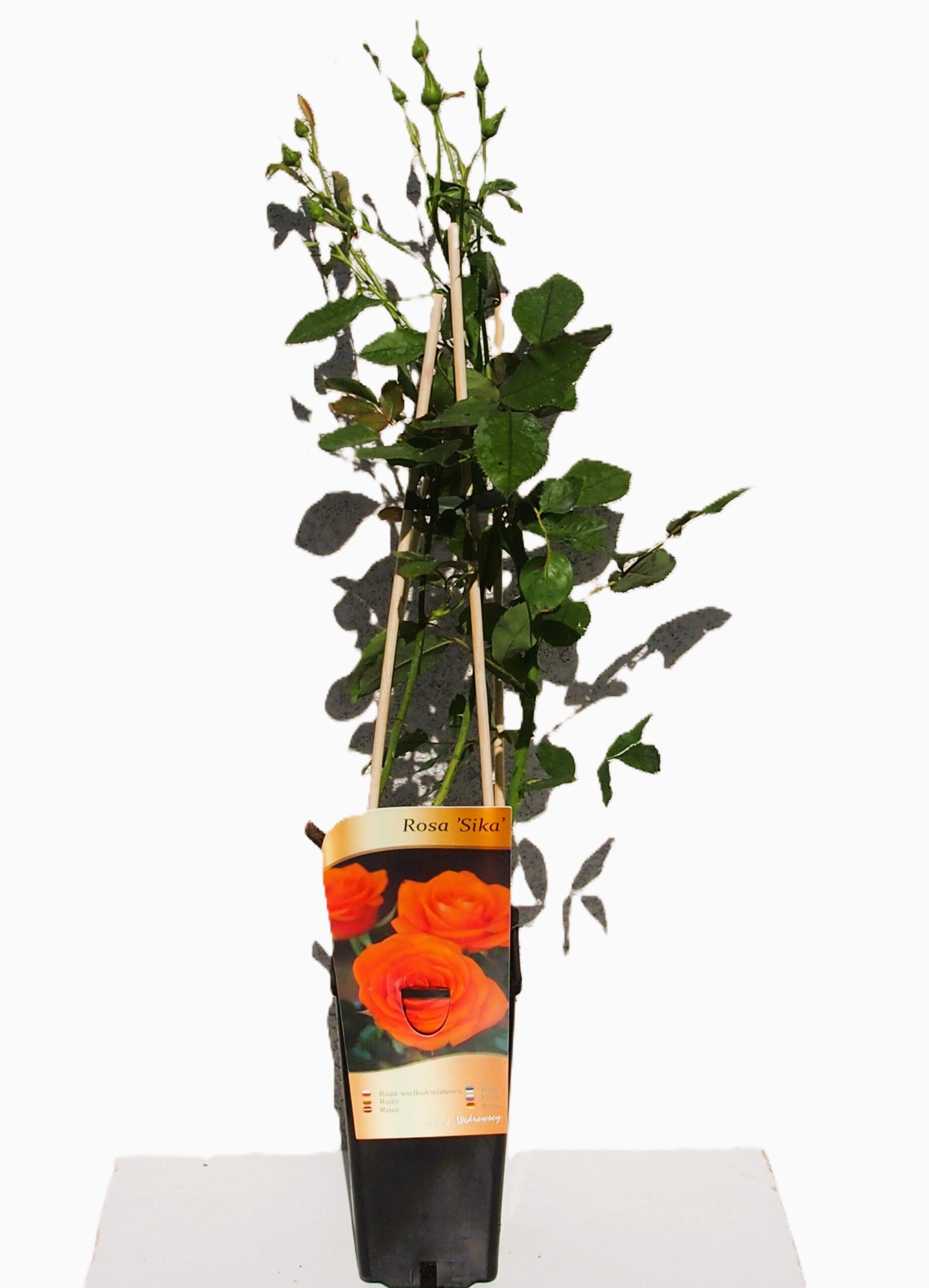 142278466748d185971329bbad48b26a