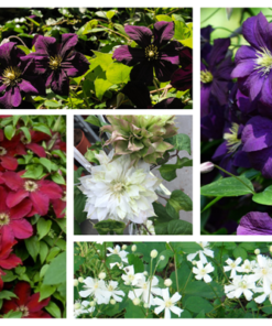 3a94922294135be788cd19bedfb4568f