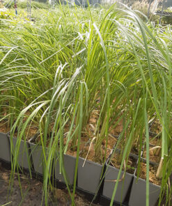 f1632d4a9e83169fc892ecf5be022cd3