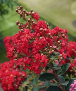 45ac6983e61b82ed11c1cd11a92f94fc