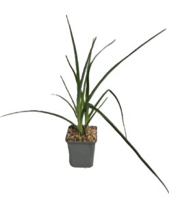 f9d87e3a52520f66568daa8b87dfb320