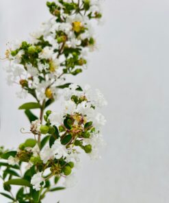 3f85a4de9b3a49100370a678bab0c545