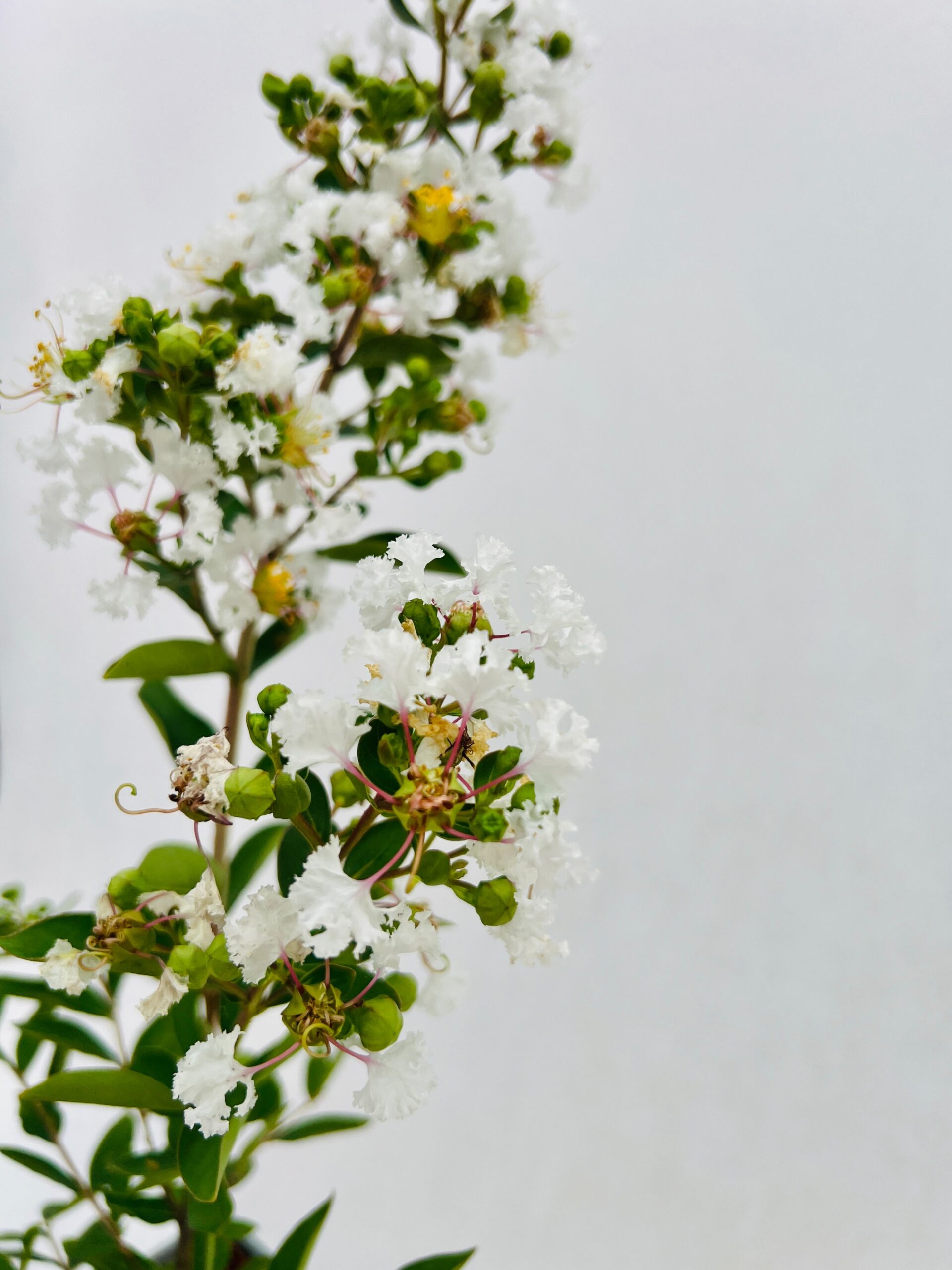 3f85a4de9b3a49100370a678bab0c545