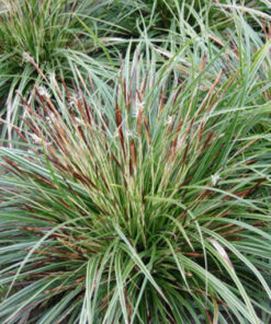 ae68d2959d9483eefcc941a0439c66c9