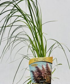 7ae7cb0d8385049c3f8144f0b8e997f0