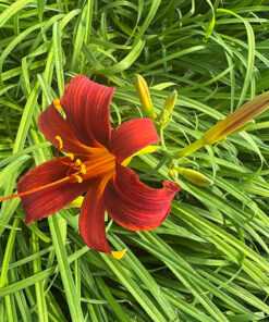 ad417684e4f04a1456807a144760516a