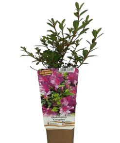 02495769850cfdeffd27e68e890f8649