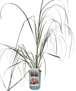 1aa759b128d16ac4e978089d7fc1d9de