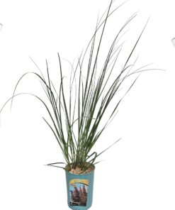 4b43c08274e2f4b4e39736457b824d6c