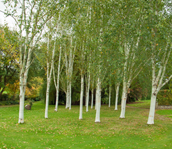 052f92ec406300630e4c39604cfa5af9