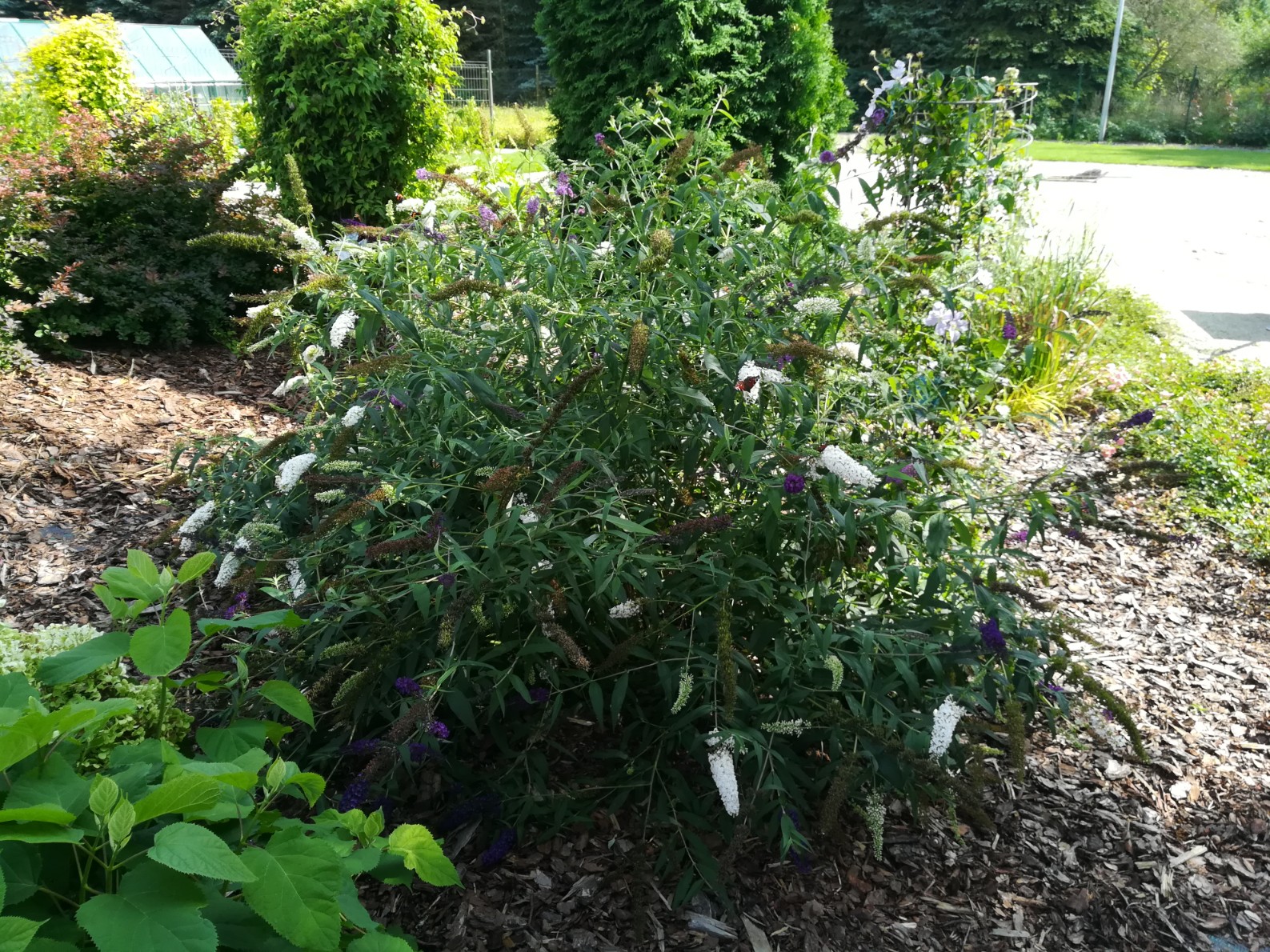 f9e131bcdc9ac382976f2262457d560d