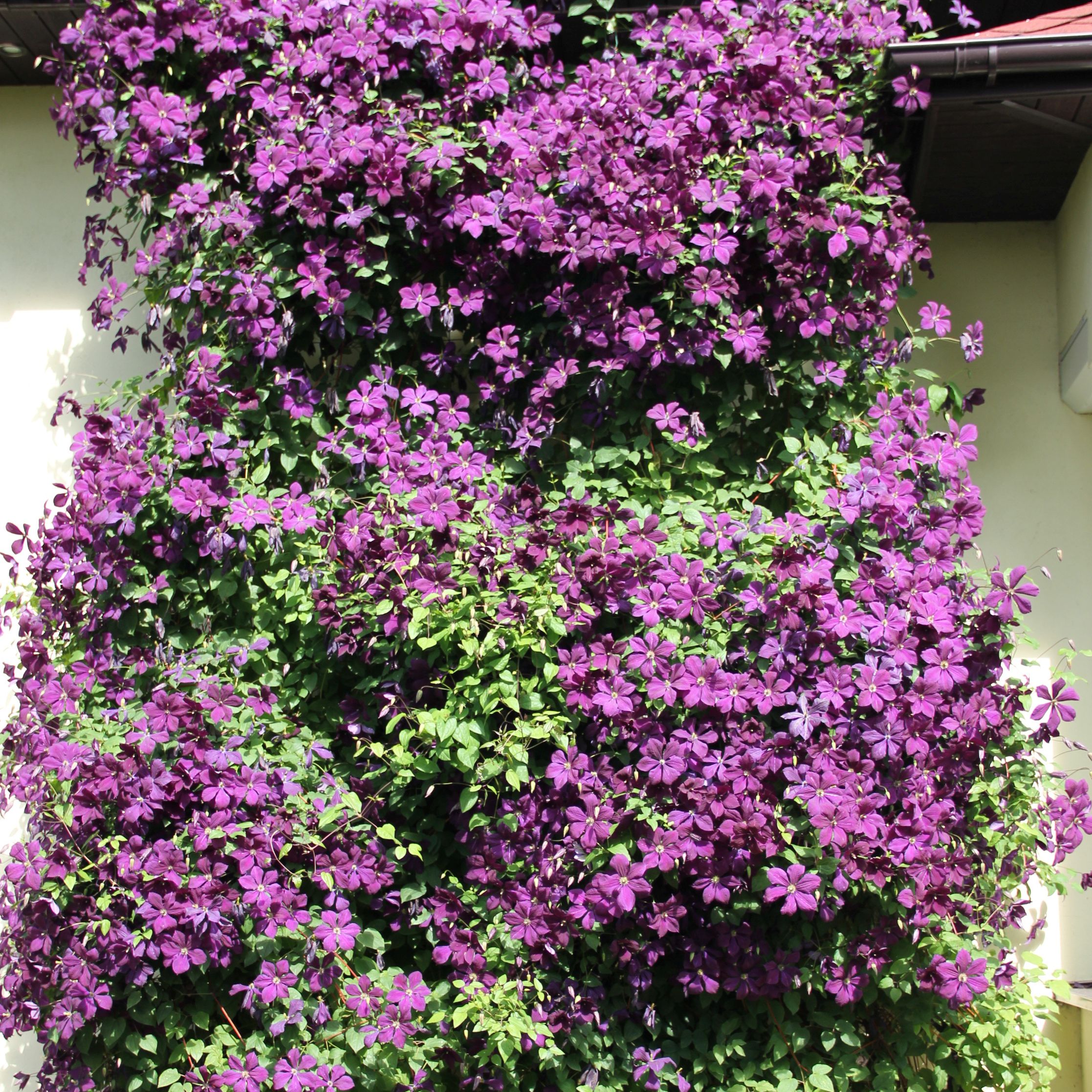 ef11bb4f4b55ac8e3c4ae5eba8f1e169