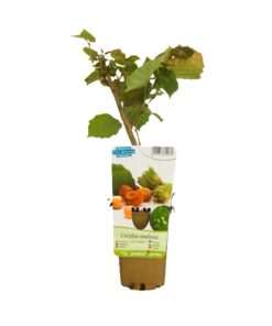 b802209de6c9fce4e48cdfe36788af30