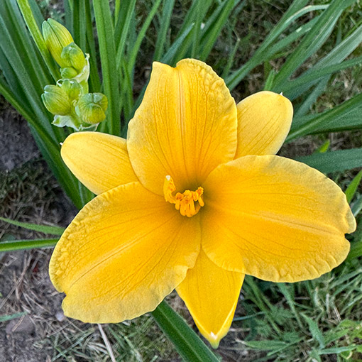 a06f9b4e96c072fce80af11fef060900