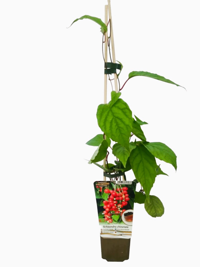 c58b609cafc1e72cfa6d17ee827839c8