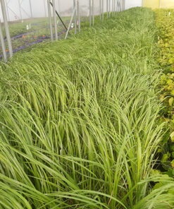 64a63f490e8f356a6a71d418aa5455b5