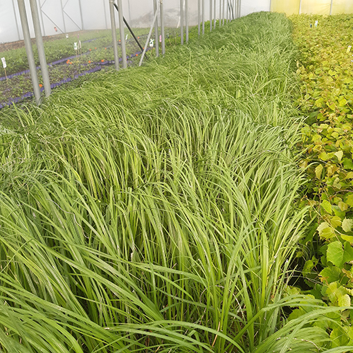 64a63f490e8f356a6a71d418aa5455b5