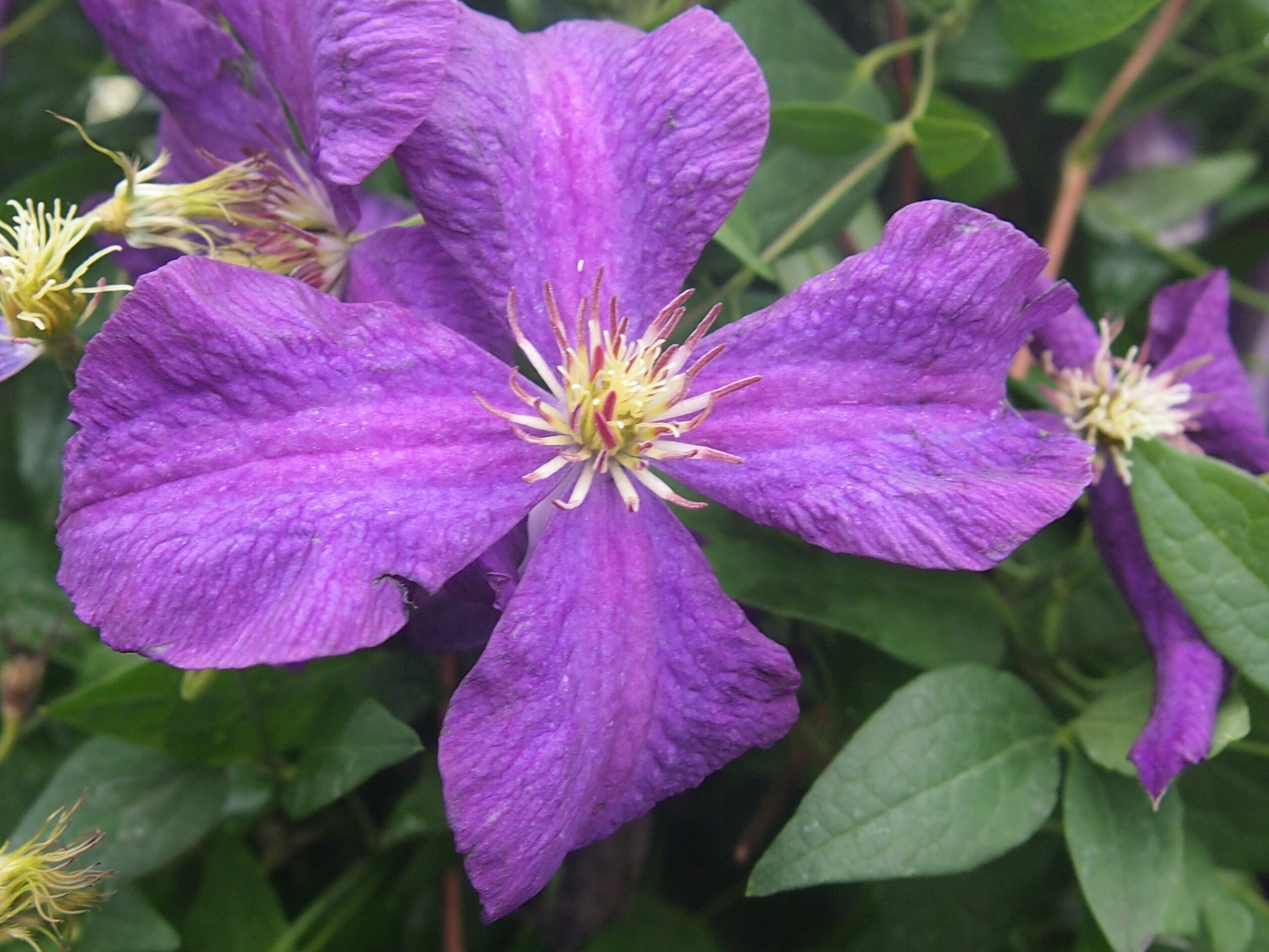 80eb53f37f5a0d0e3db06eac09a693d9