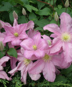 340d399aac172af4dfd022609283dd70