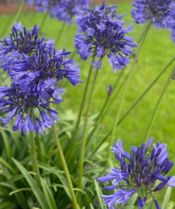 50c643db1b08e076922437386005efa7