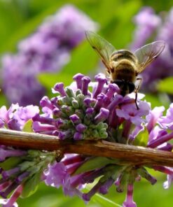 1e138d602d4d8520c61efbdf5fdee4fd