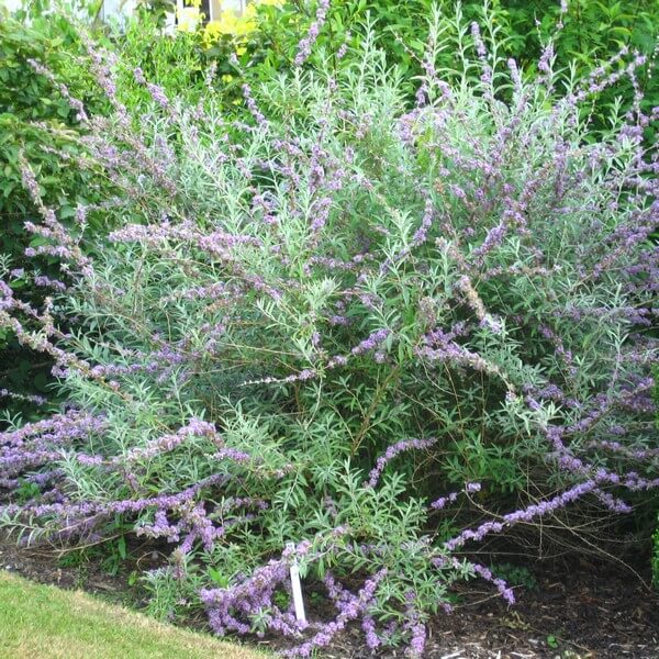 1e5a8f25d961c21c2f19e4dcb3dd6422