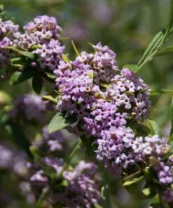 4f9f56690d90dae935c7695928fbe72f