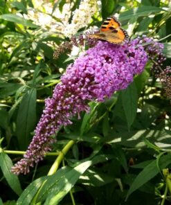 b2a521d19df591be216d7afa1e3040c0