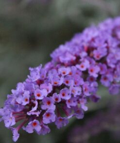 0c943e60293c041d2b354848fe855d13