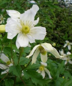 b34875a5cd880b7702e4b769e376ab2a