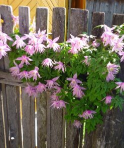 d64b54ca2f3bf0f8a601649f9b880bbb