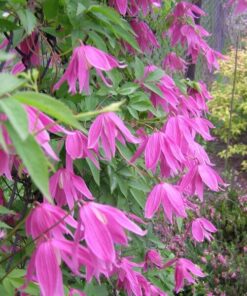 44b656679bcb544c8b00a9dae72f75a6