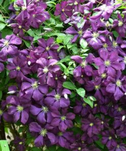 8458eddef9e2bc0543d8aeed0474e123