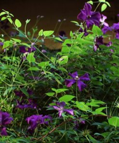 3de96b23310f8d369aa4a30abe61d6e4