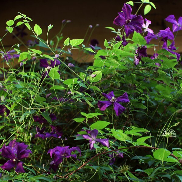 3de96b23310f8d369aa4a30abe61d6e4