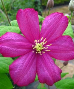 5fdee330f5d180bb3dcfb73605e8892e