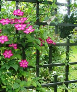 d41e38a595ac255a7937e8c1a3413877