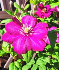 824c3036b51224835c66e0328e6fa866