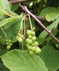 b148d82cb37bafe3d8333e6e5718e8fb