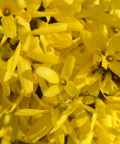 d64a9240a0514d8b0c9871dad317bab3