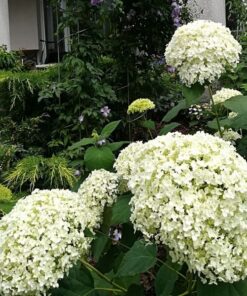 f0827a33107cf72e74e35224cadcfd5f