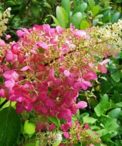 6a01474ee68a969a3e80d0a1716e6600