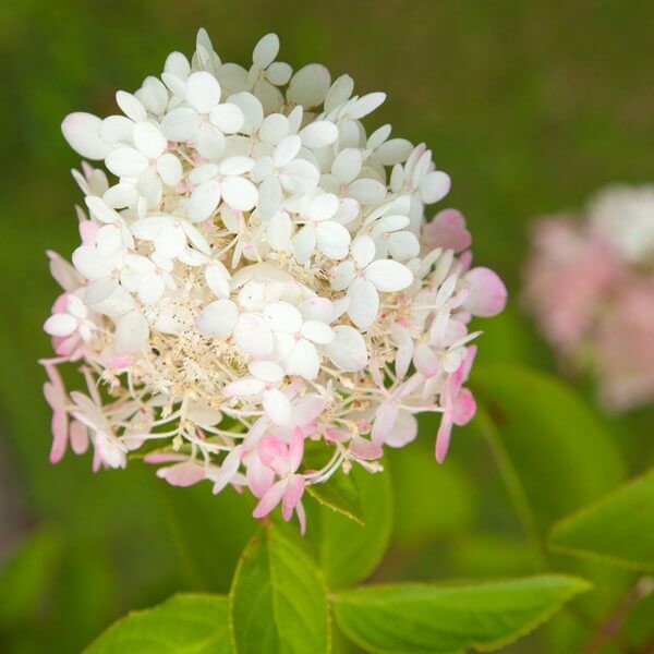 480f3c3d7bd075c023595a4533cd1405