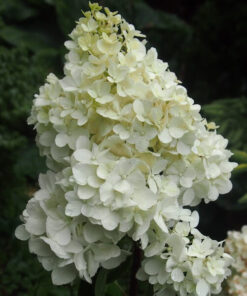 899cb7aae9ab33f210ef591a8b9607a2