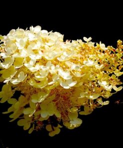 d8b224bda0e482fefbf17f66f57f92c6