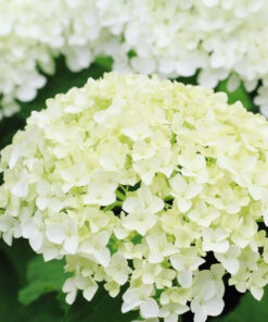 2e782e6dc2a4f0f1a3f571421da02ab6