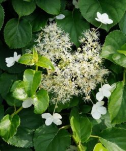 9f1d2077aac0894c21e322487c3a4338