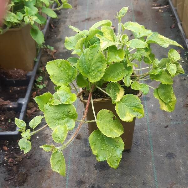 103b8345a9e5d9128d67a4743b26fbb0