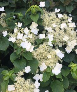 2f8216bb4fc492e092d77e01bd765f67