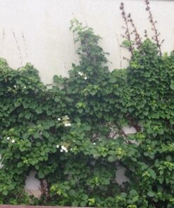 04a04d58e800e6bdb3c07b4759c2e011